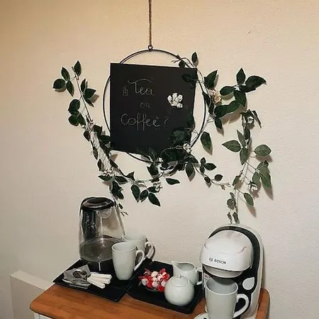 Schoene 2,5 Mit Balkon Und Parkplatz * Graz