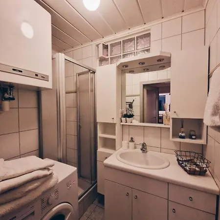 Schoene 2,5 Mit Balkon Und Parkplatz Graz