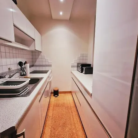 Schoene 2,5 Mit Balkon Und Parkplatz * グラーツ